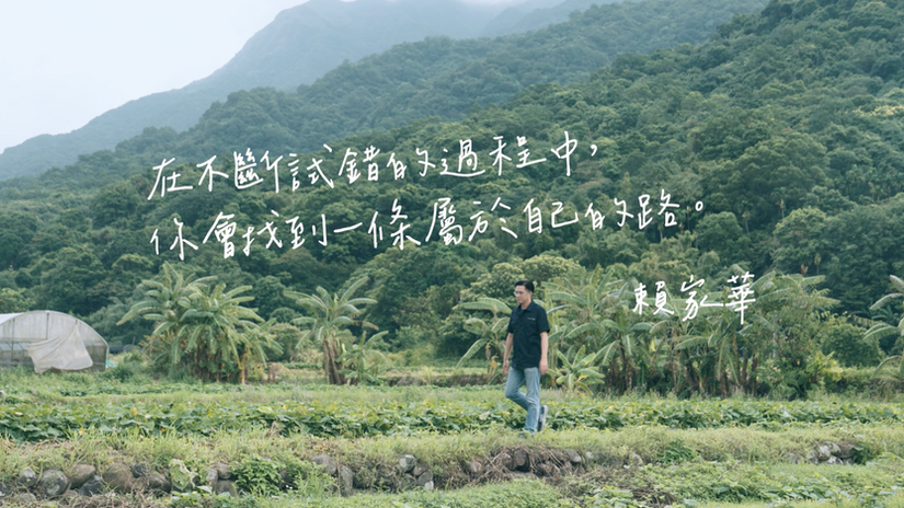 【城鄉島遊】新北金山：汪汪地瓜園